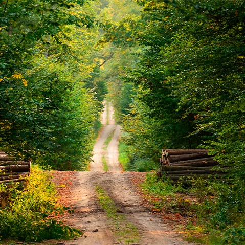 Venez nous rencontrer le dimanche 11 septembre à Courcelles au Grand Week-end acéricole et forestier de Beauce!