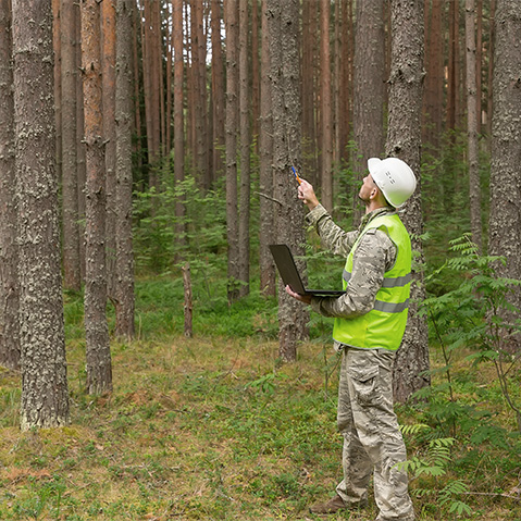 Conseiller en aménagement forestier