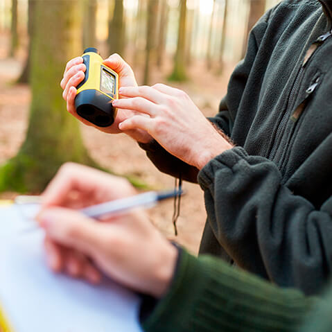 Services d'aménagement forestier